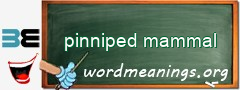 WordMeaning blackboard for pinniped mammal